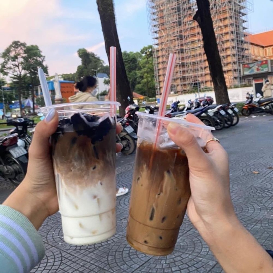 Ngôn ngữ Việt Nam
