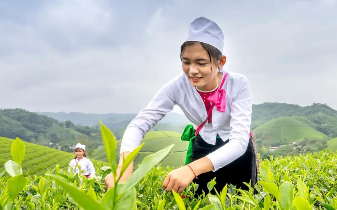 tour-du-lich-long-coc