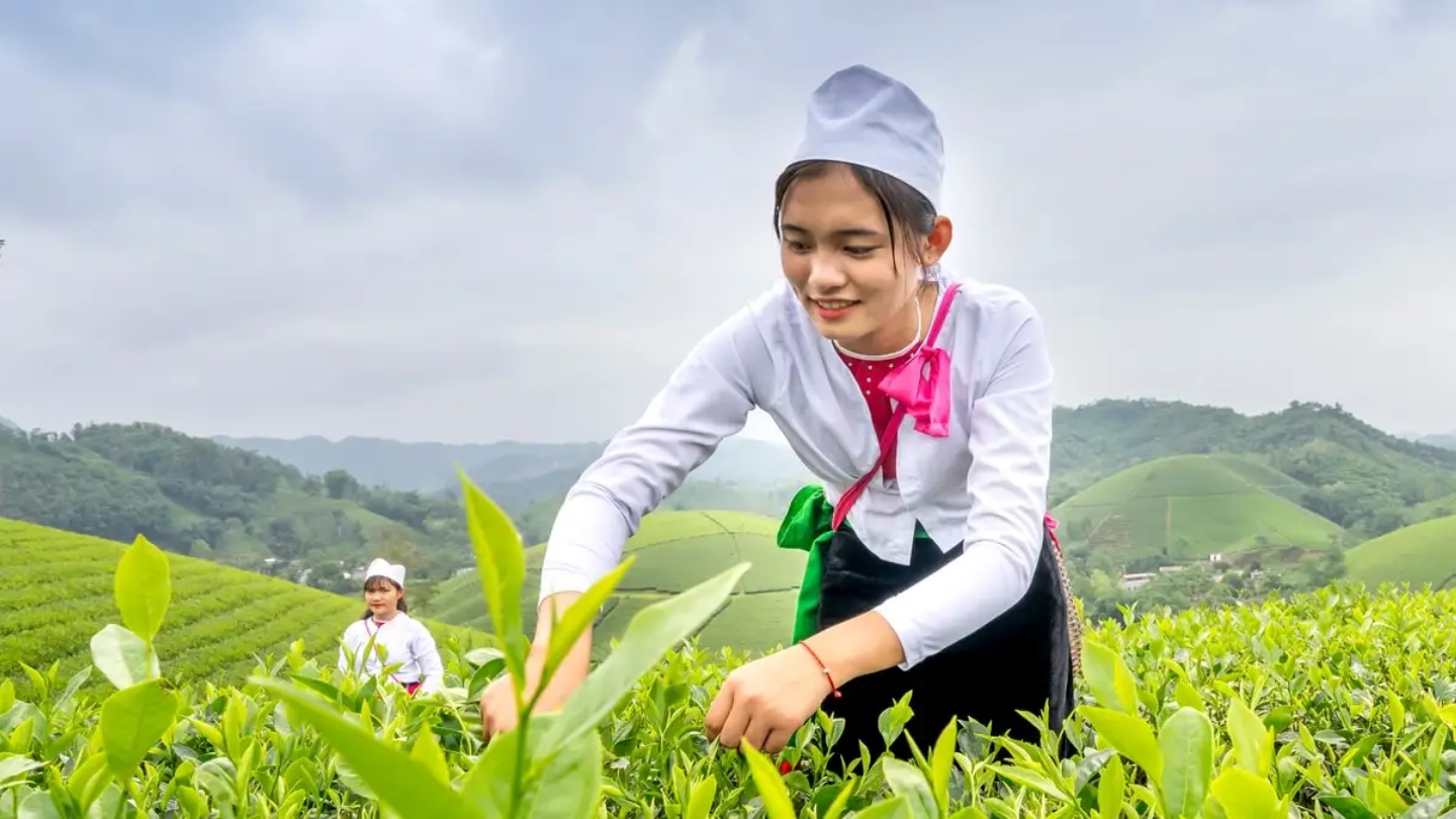 tour-du-lich-long-coc